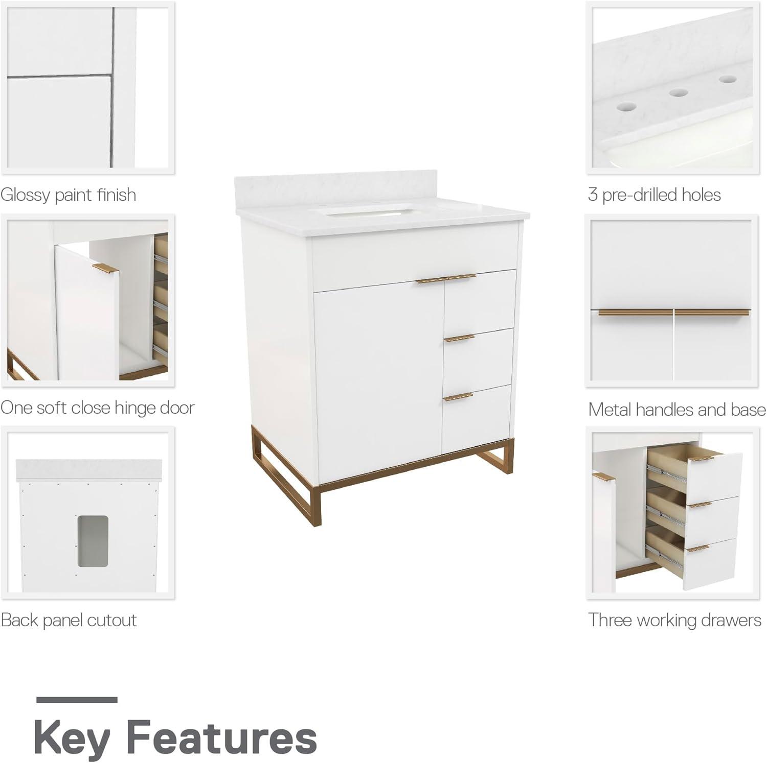 CosmoLiving by Cosmopolitan Leona 24” Bathroom Vanity