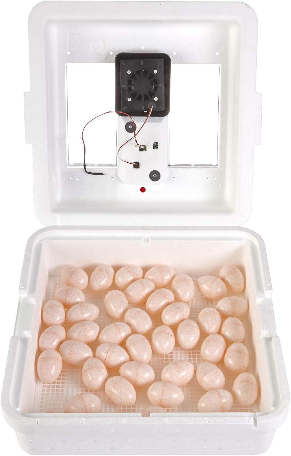 Little Giant White Digital Still Air Incubator
