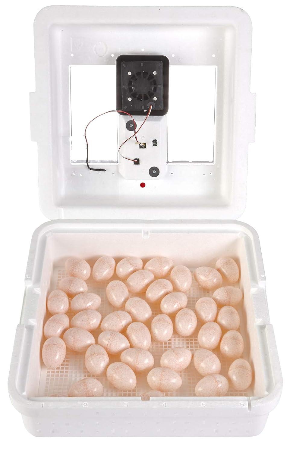 Little Giant White Digital Still Air Incubator