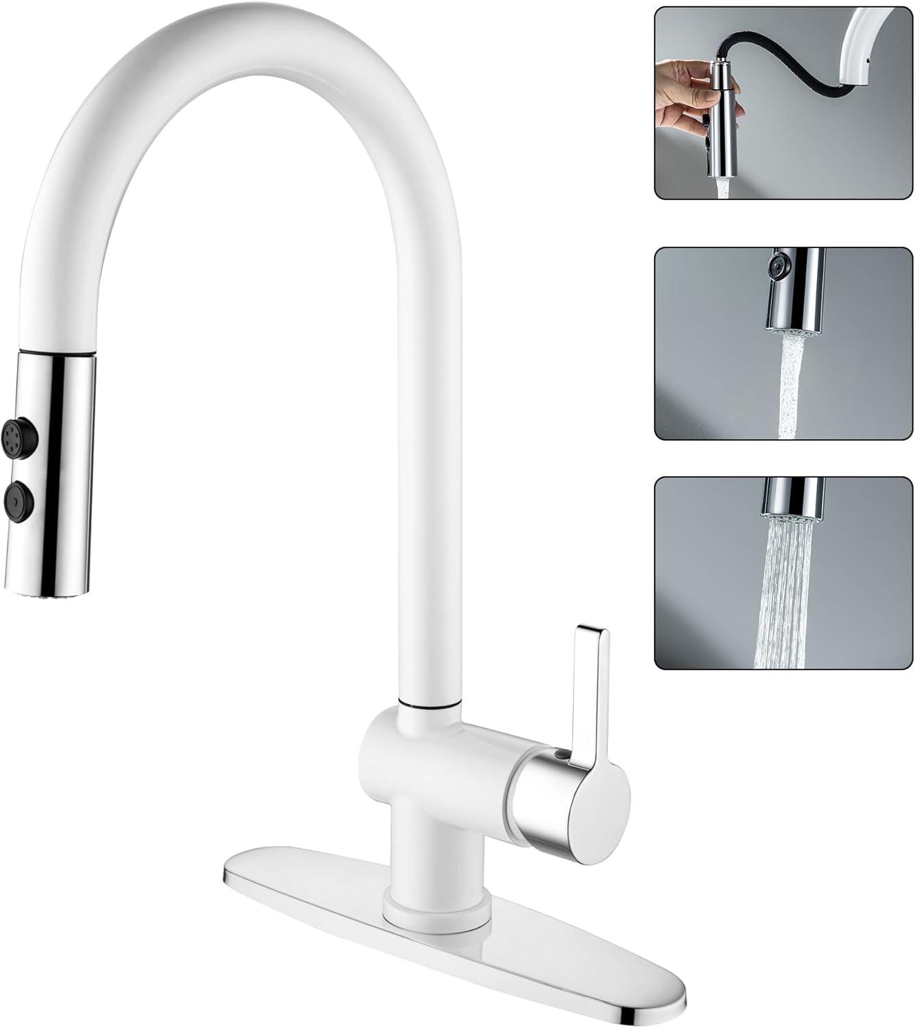 VIBRANTBATH VIBRANTBATH Pull Out Kitchen Faucet 4034-BGK