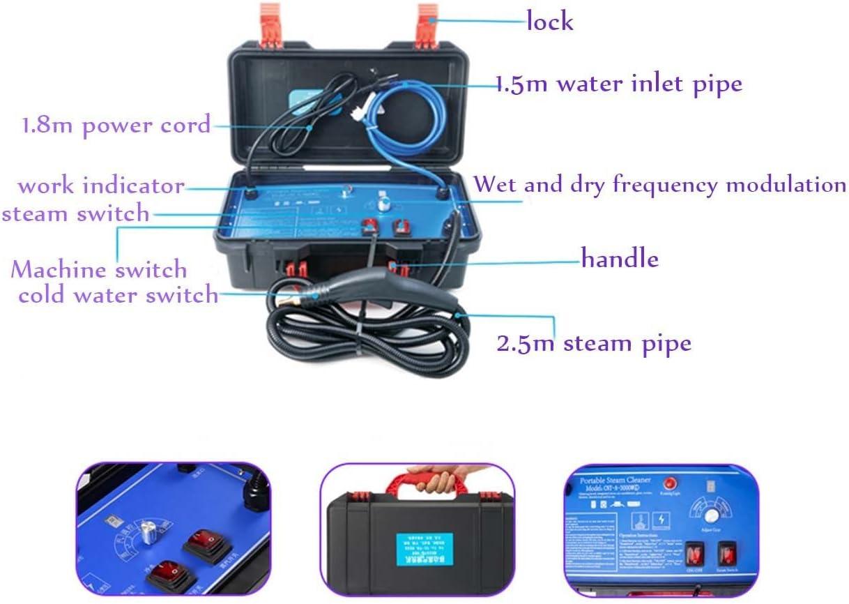 Miumaeov 1700W High Pressure & Temperature Steam Cleaner Cleaning Machine Car Household