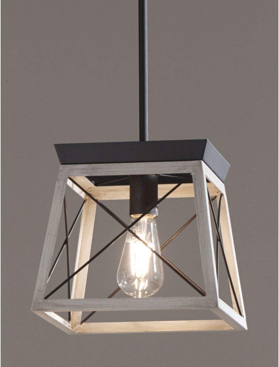 Progress Lighting Briarwood 1-Light Mini-Pendant, Steel, Graphite Finish, Faux-Painted Wood Enclosure