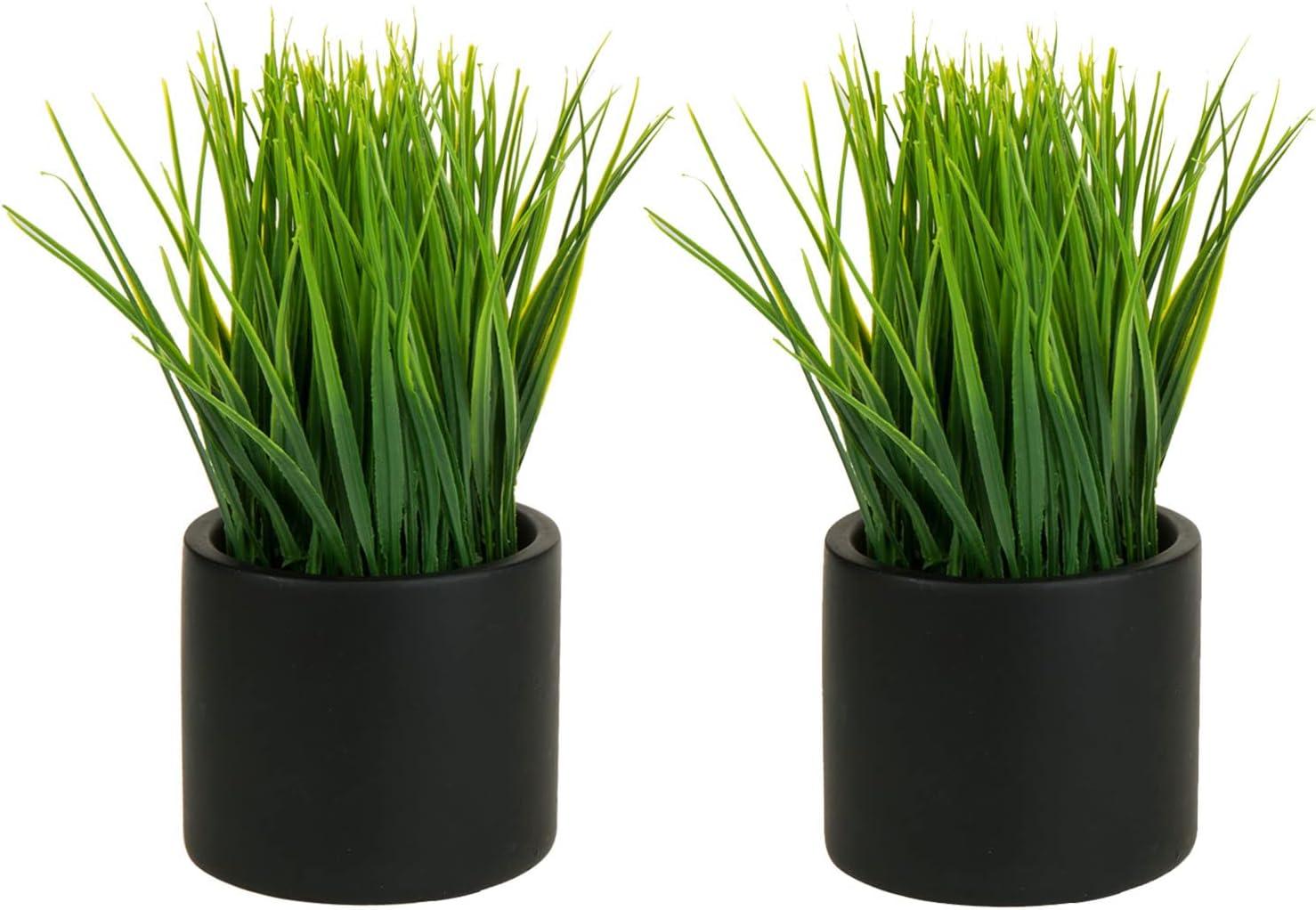 7.87'' Faux Grass in Black Cylindrical Cement Pots, Set of 2