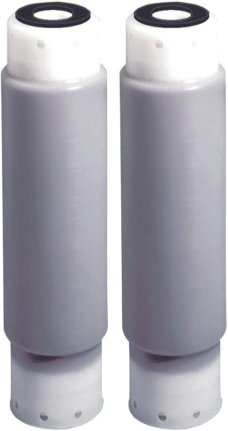 Gray and White Whole House Water Filter Cartridges, Pack of 2