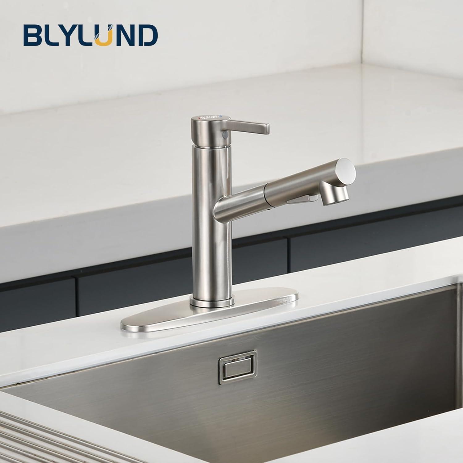 Brushed Nickel Kitchen Sink Faucet with Pull Down Sprayer Single Handle Single Hole Mixer Tap