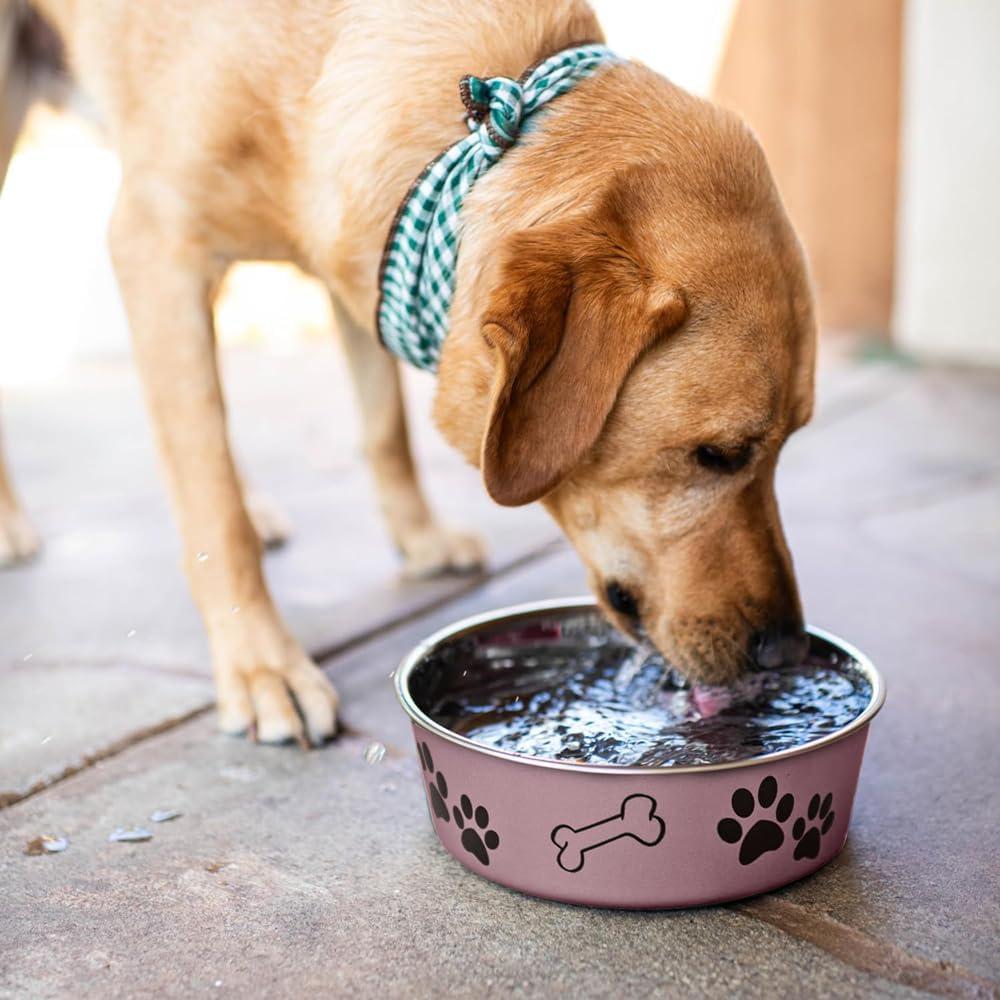 Loving Pets Bella Bowl Small Grape, 1.0 CT