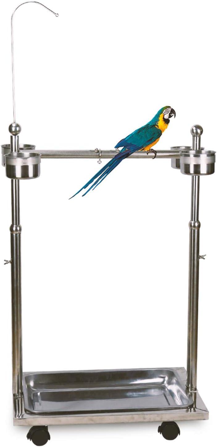 Adjustable Stainless Steel Bird Perch Stand with Wheels