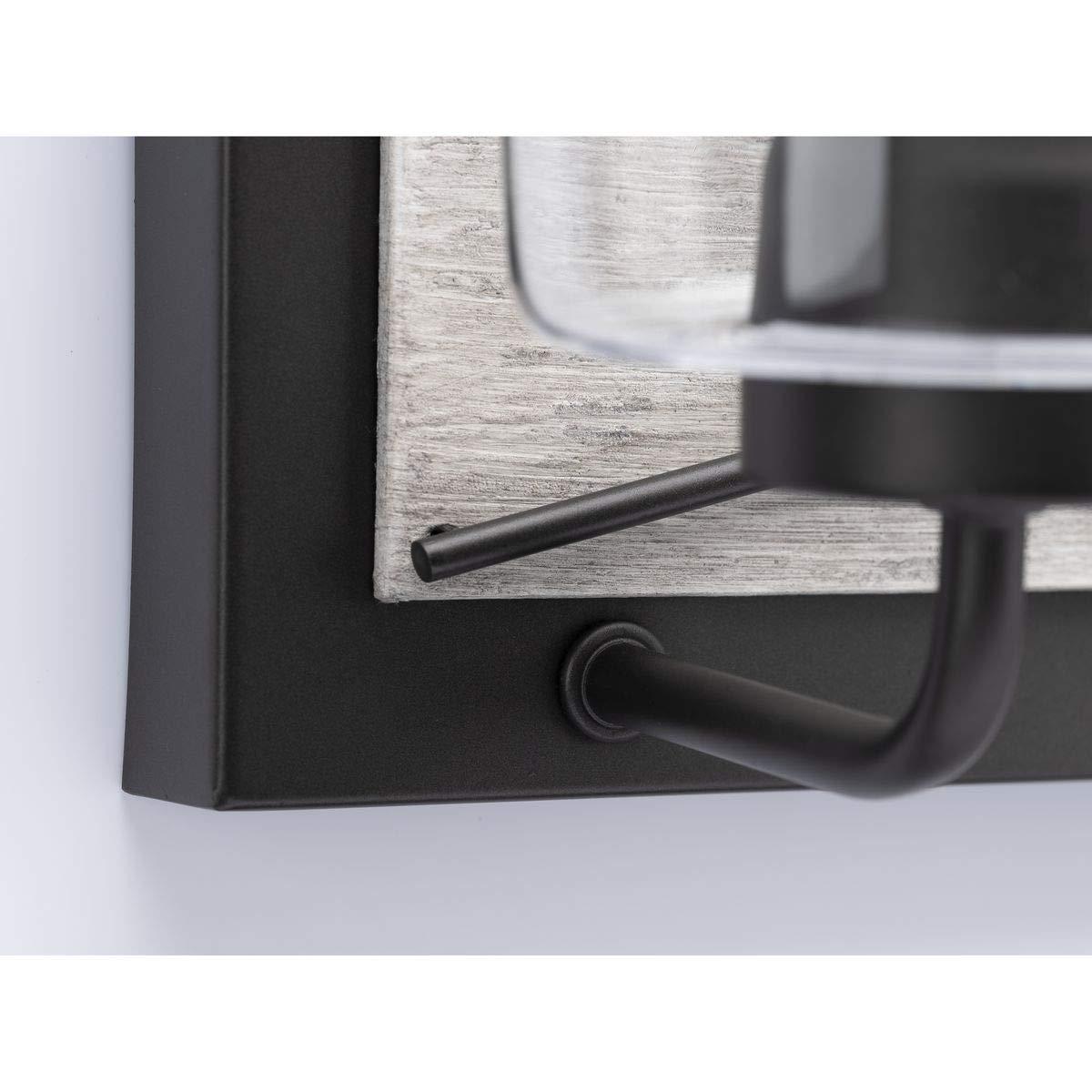 Progress Lighting Briarwood 3-Light Bath Vanity in Graphite with Clear Glass Shades