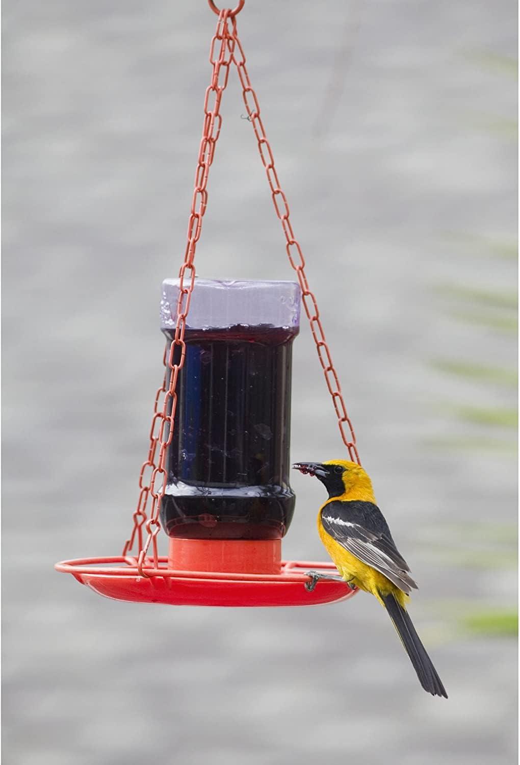 Orange Hanging Metal and Plastic Oriole Nectar Feeder