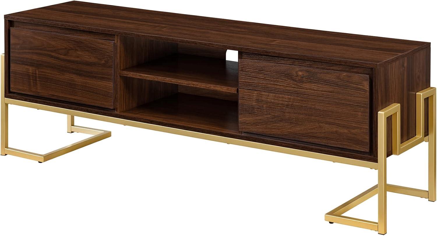 Pemberly Row 60" 2-Drawer Modern Wood Media Console - Dark Walnut