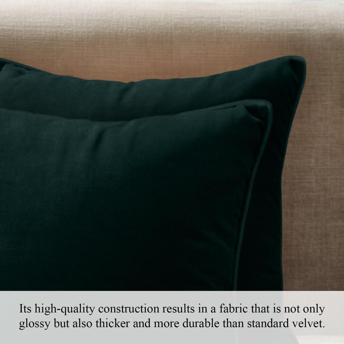 A1 Home Collections LLC Velvet Pillow Cover (Set of 2)