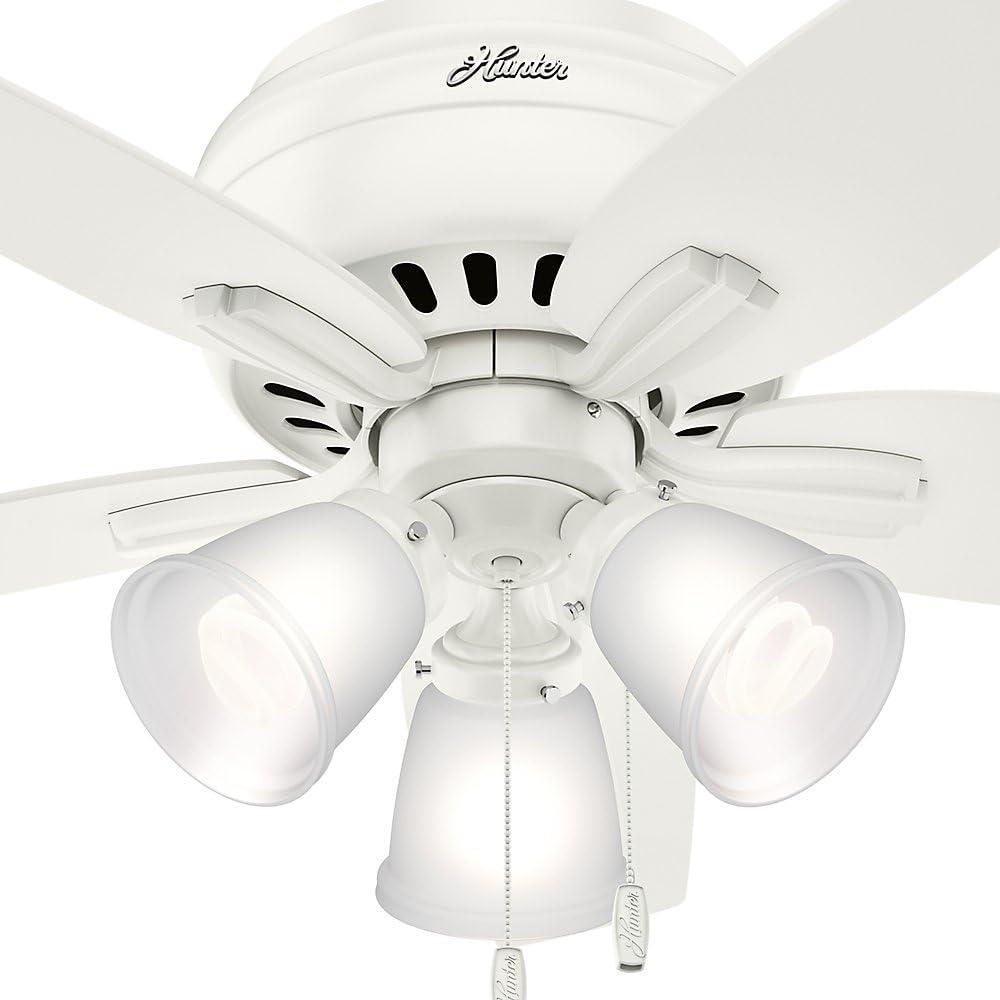 Newsome 42" 5 - Blade Flush Mount Ceiling Fan with Lights and Pull Chains