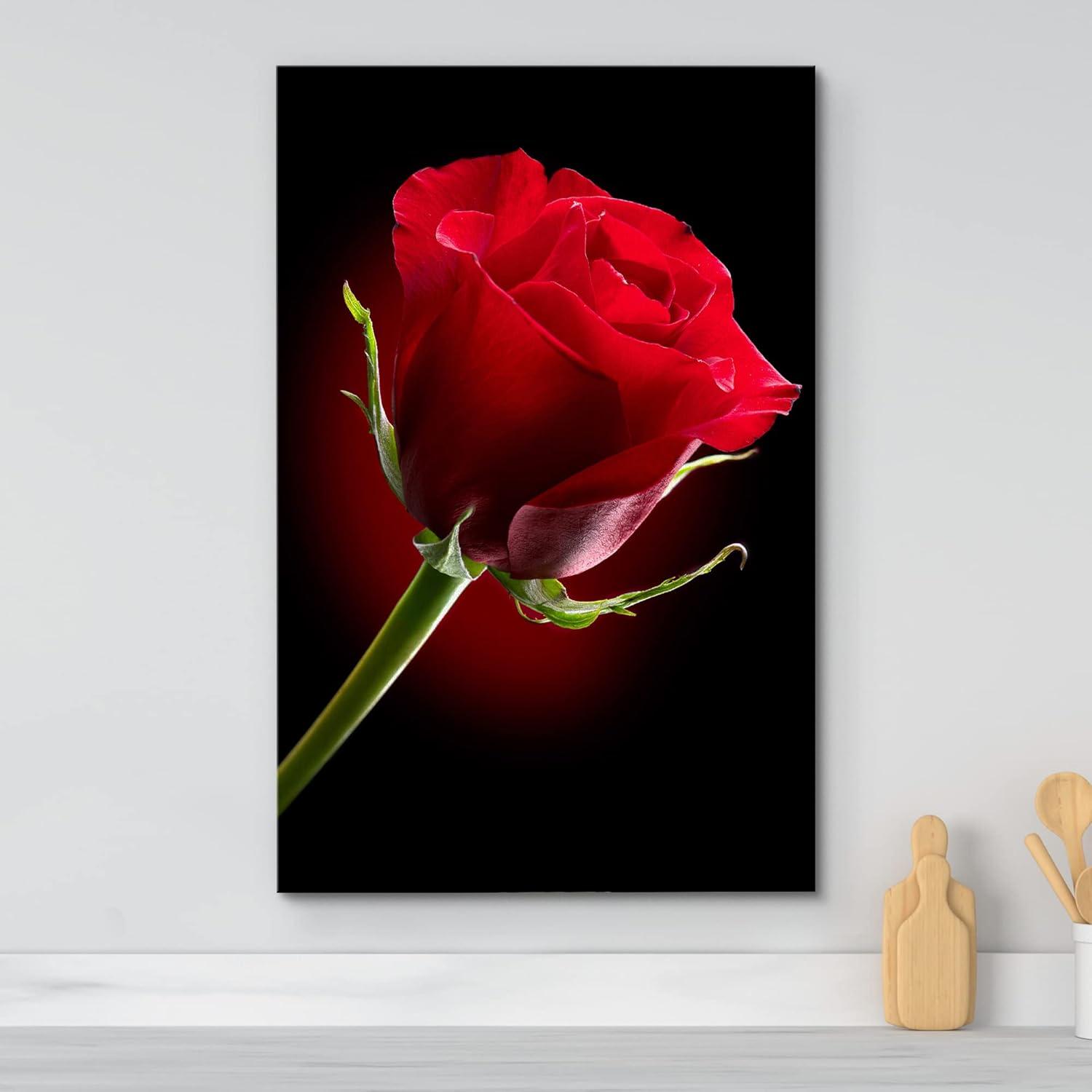 Canvas Prints Wall Art - Closeup of Red Rose Flower Against Black Background | Modern Wall Decor/Home Decoration Stretched Gallery Canvas Wrap Giclee Print & Ready to Hang - 32" x 48"