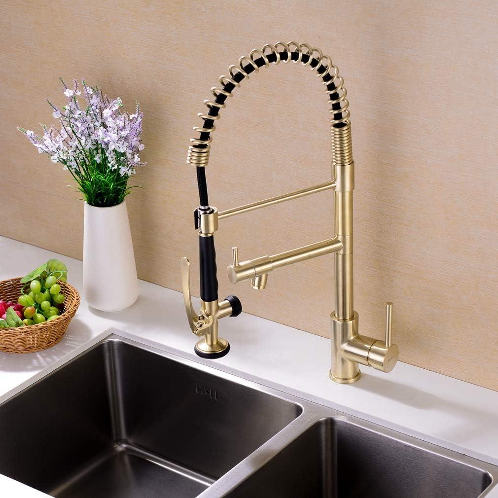 LOONGFIELD ASTARQ-W1932P172291 Kitchen Faucet Pull Down Sprayer Brushed Nickel,Single Handle Kitchen Sink Faucet