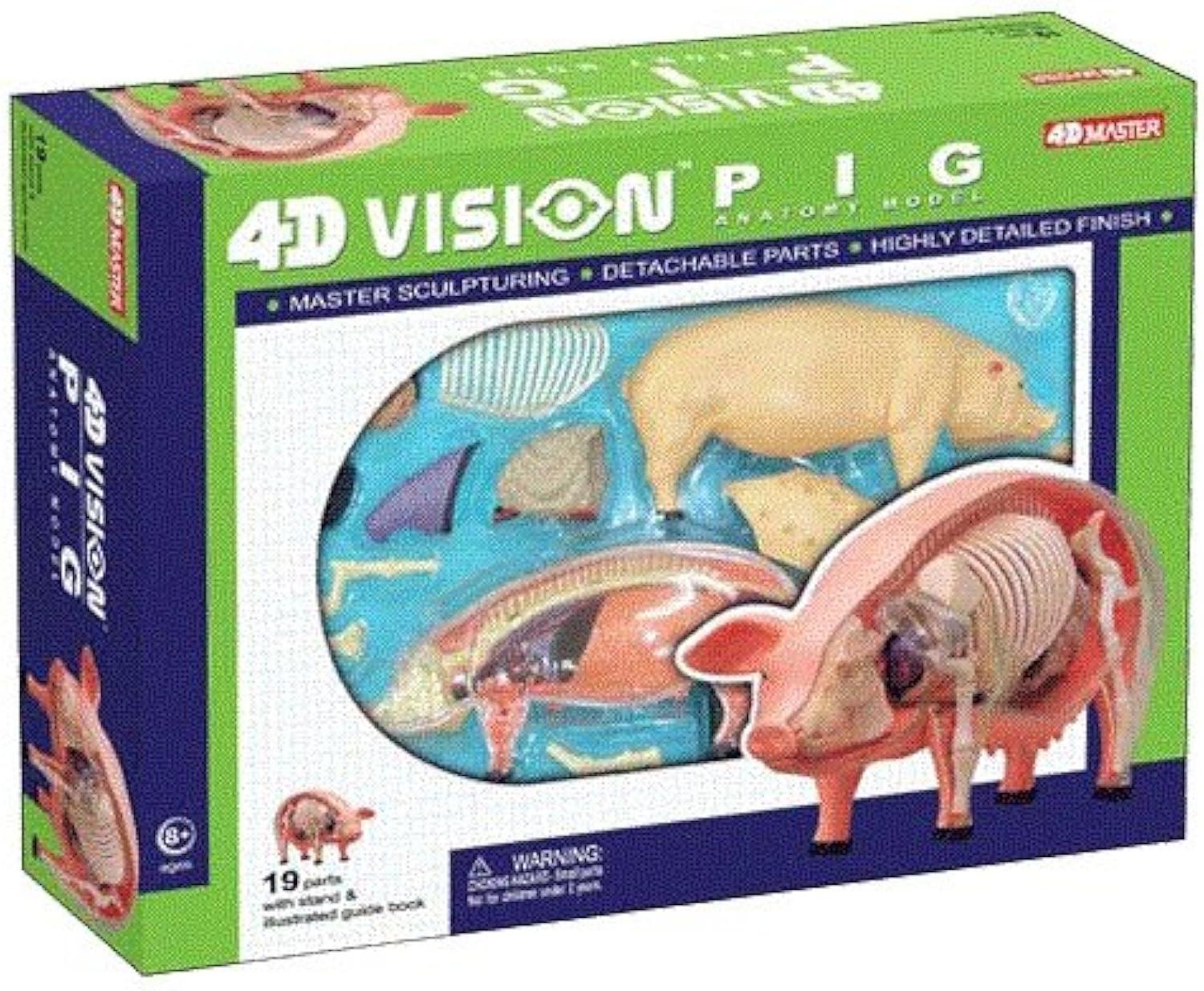 4D Pig Anatomy Model with Detachable Organs