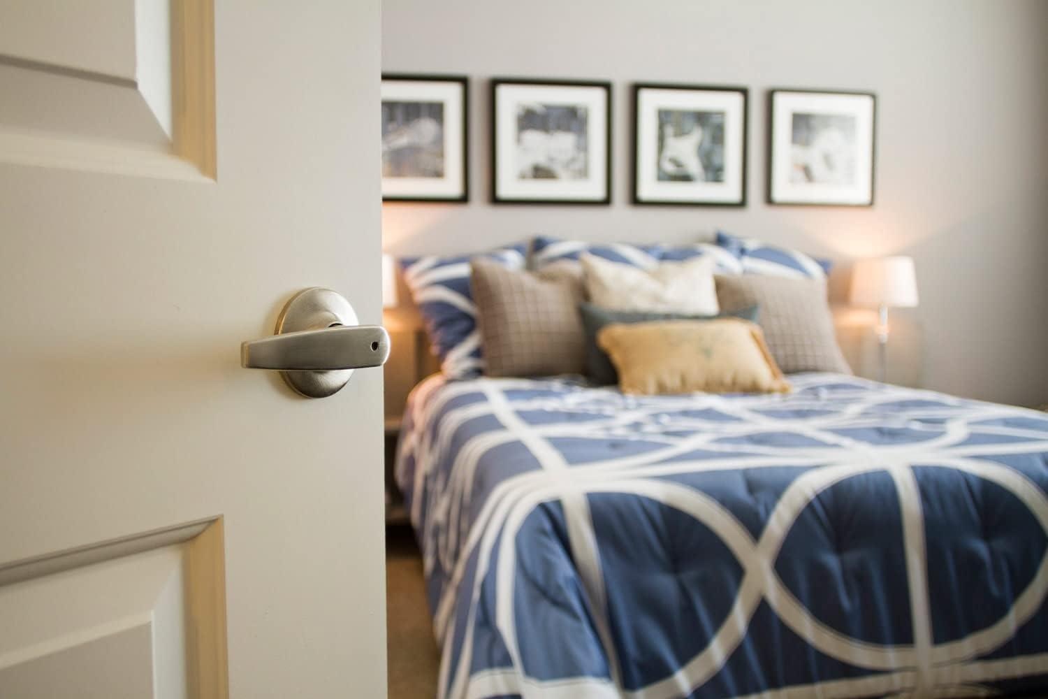 Delavan Privacy Door Lever