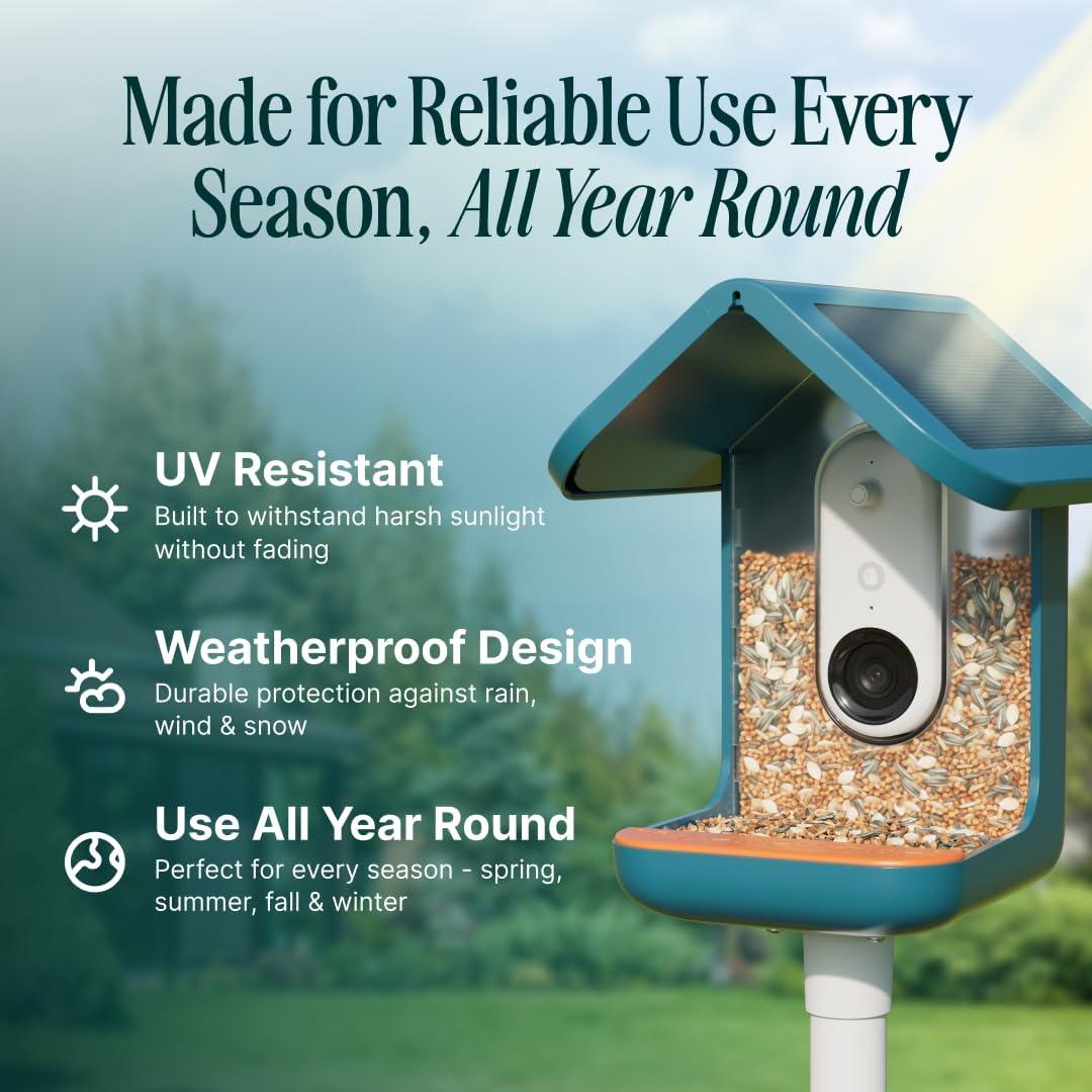 Bird Buddy Smart Bird Feeder with Camera and Solar Roof: Weather-Resistant, Hanging or Pole Mount