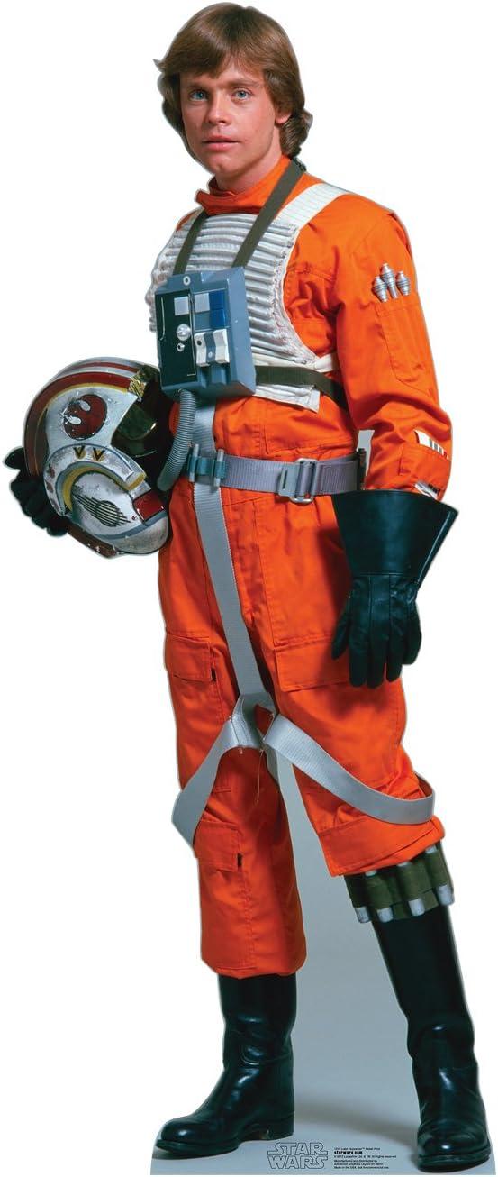 Luke Skywalker - Rebel Pilot (Star Wars)-Size:70" x 30"