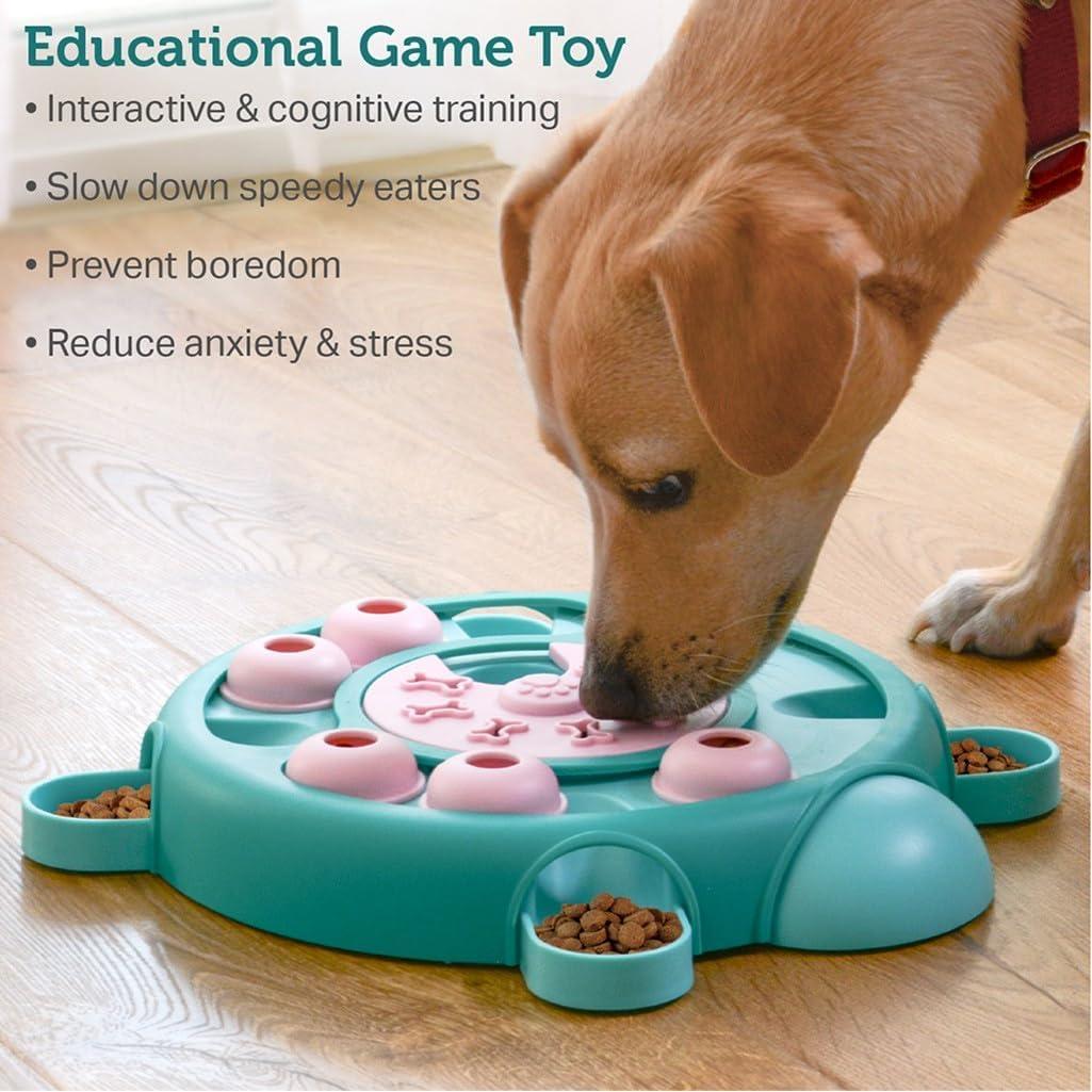 Interactive Tortoise Design Dog Treat Dispenser Toy