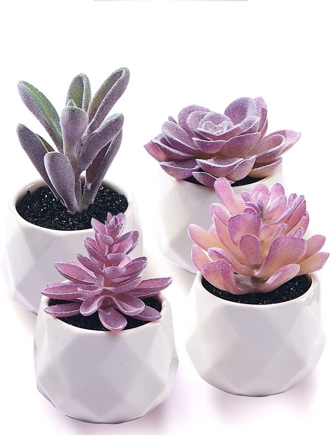 Mini Purple Plastic Succulent Set in White Pots