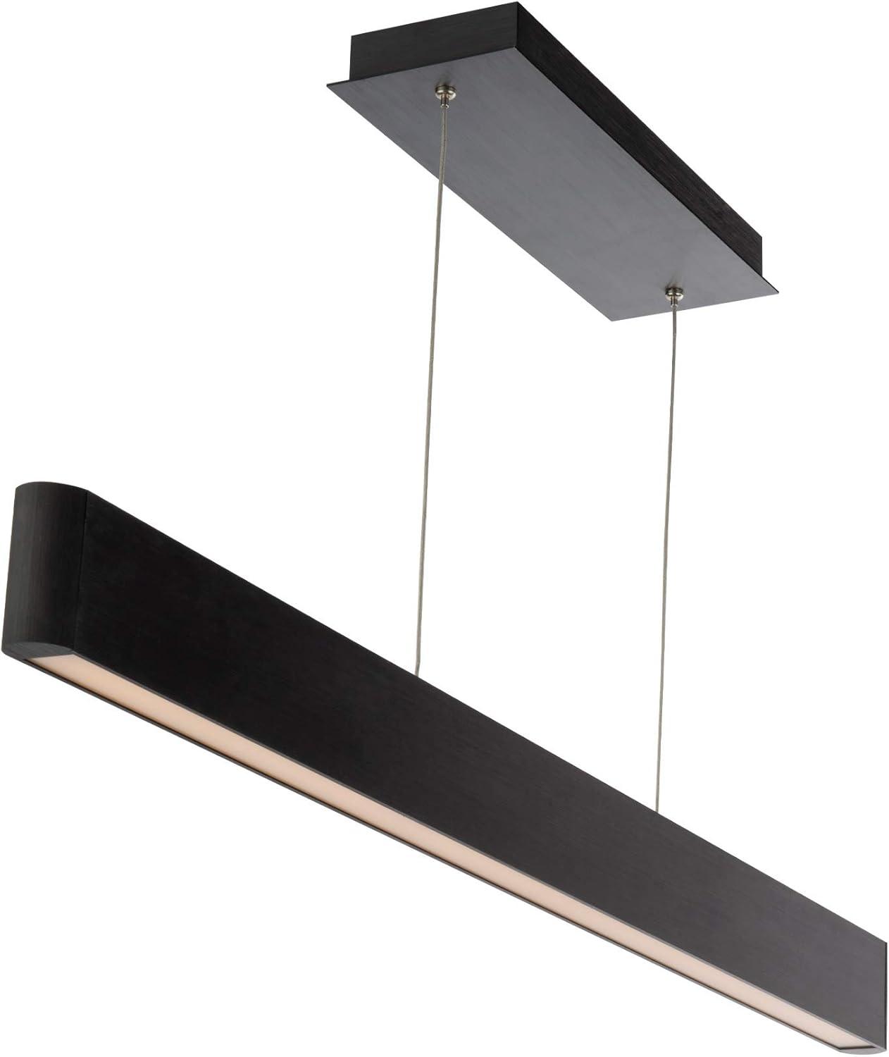 Black Aluminum LED Indoor/Outdoor Pendant Light