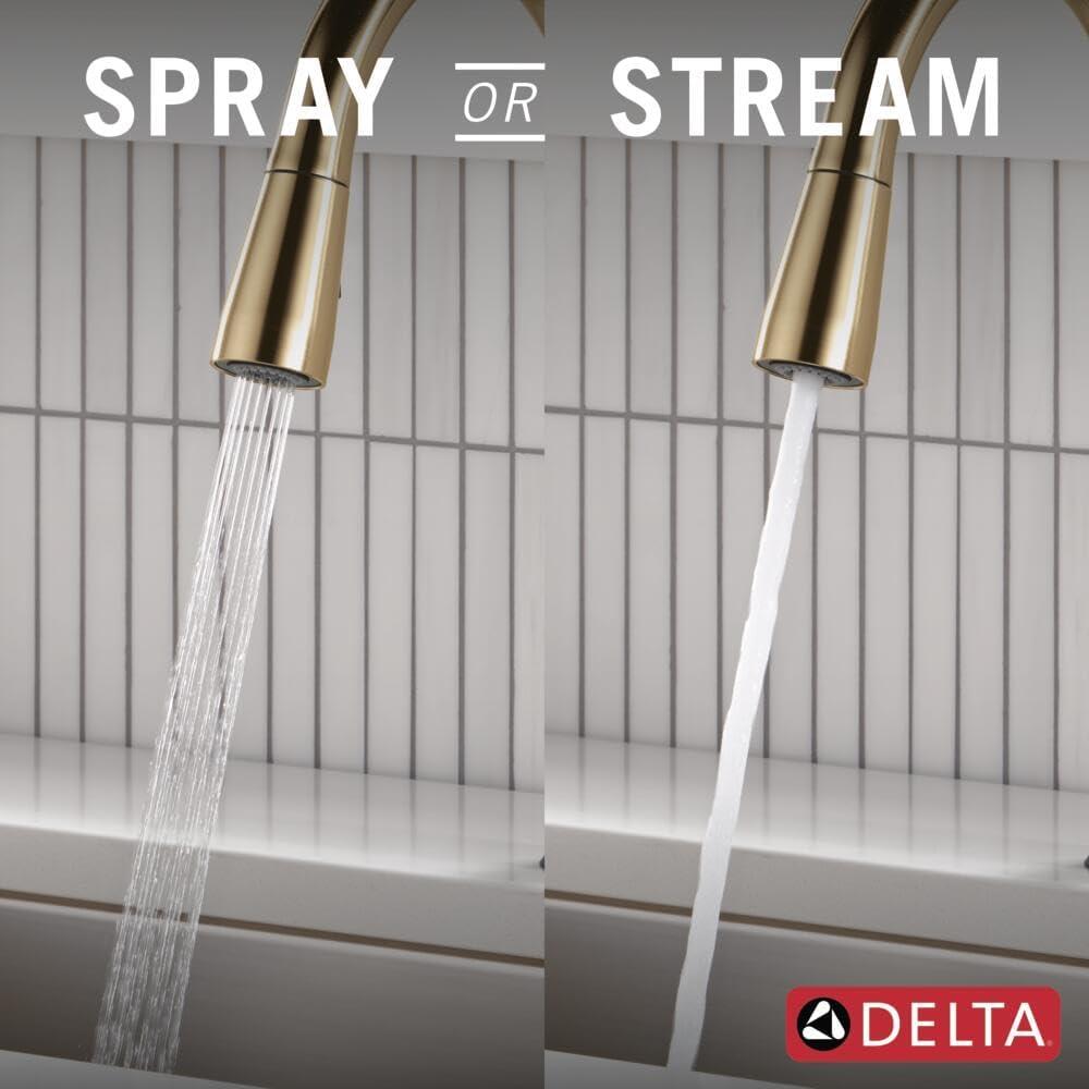 Essa Touch2O Kitchen Sink Faucet with Touchless Technology