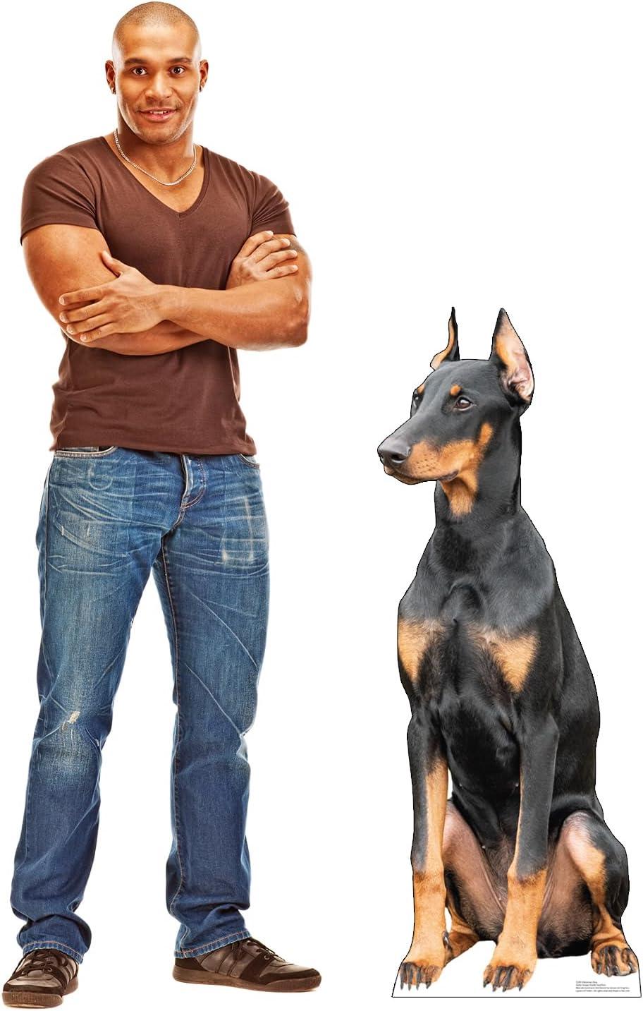 48 x 18 in. Doberman Dog Life-Size Cardboard Cutout