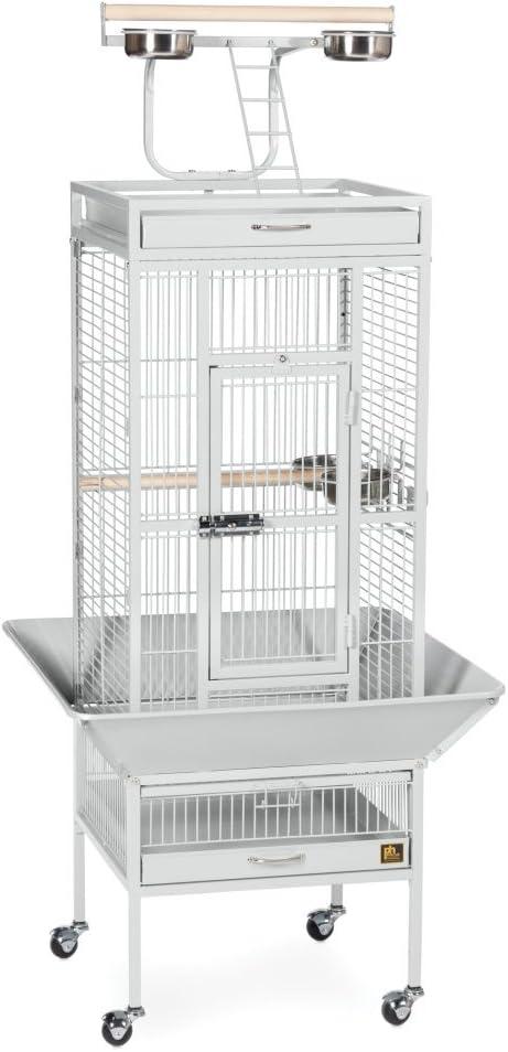 Prevue Pet Products Wrought Iron Select Bird Cage Black Hammerstone 3151BLK