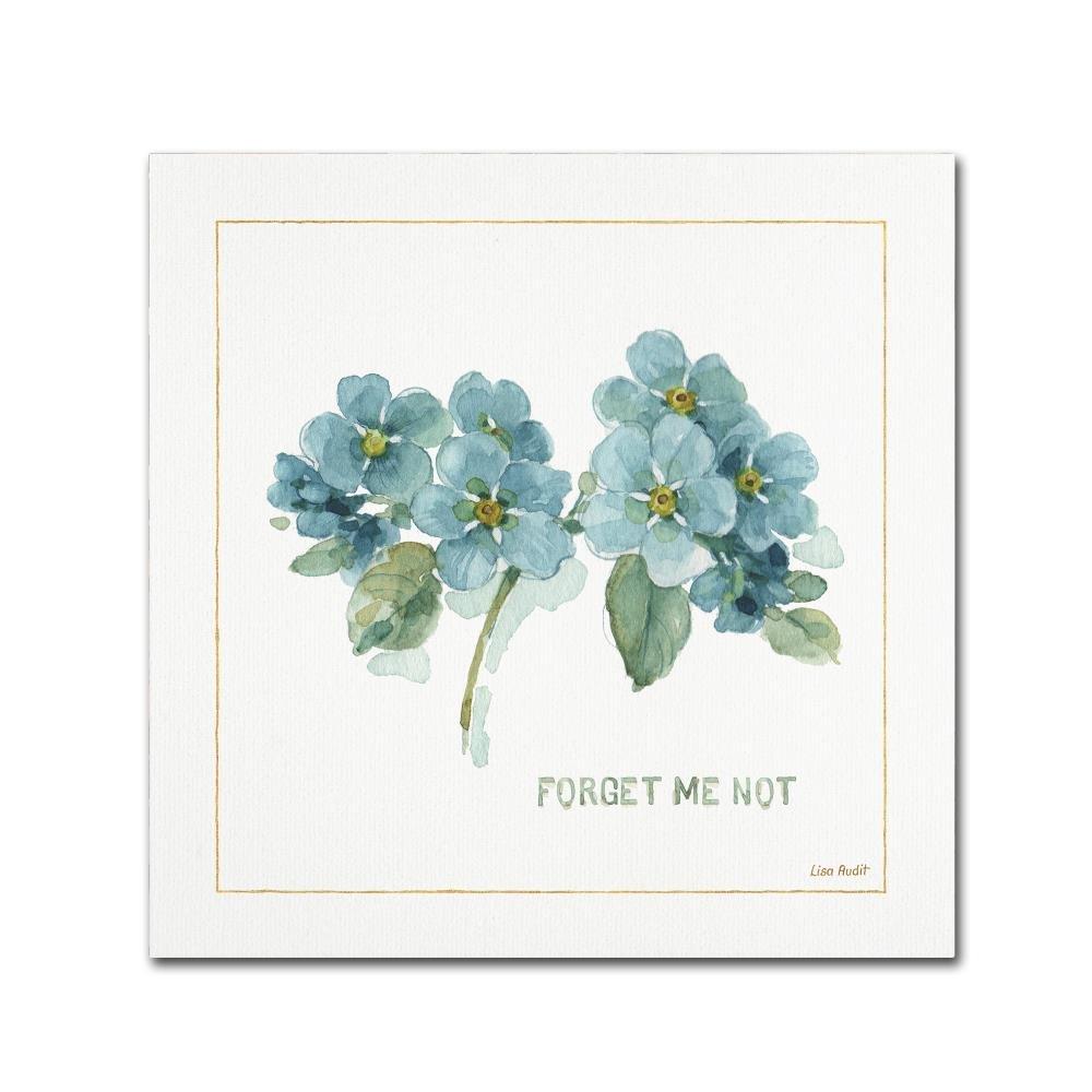 Trademark Fine Art "My Greenhouse Forget Me Not" Canvas Art by Lisa Audit
