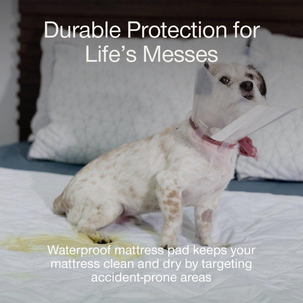 Coop Home Goods Queen Waterproof Mattress Protector Sheet