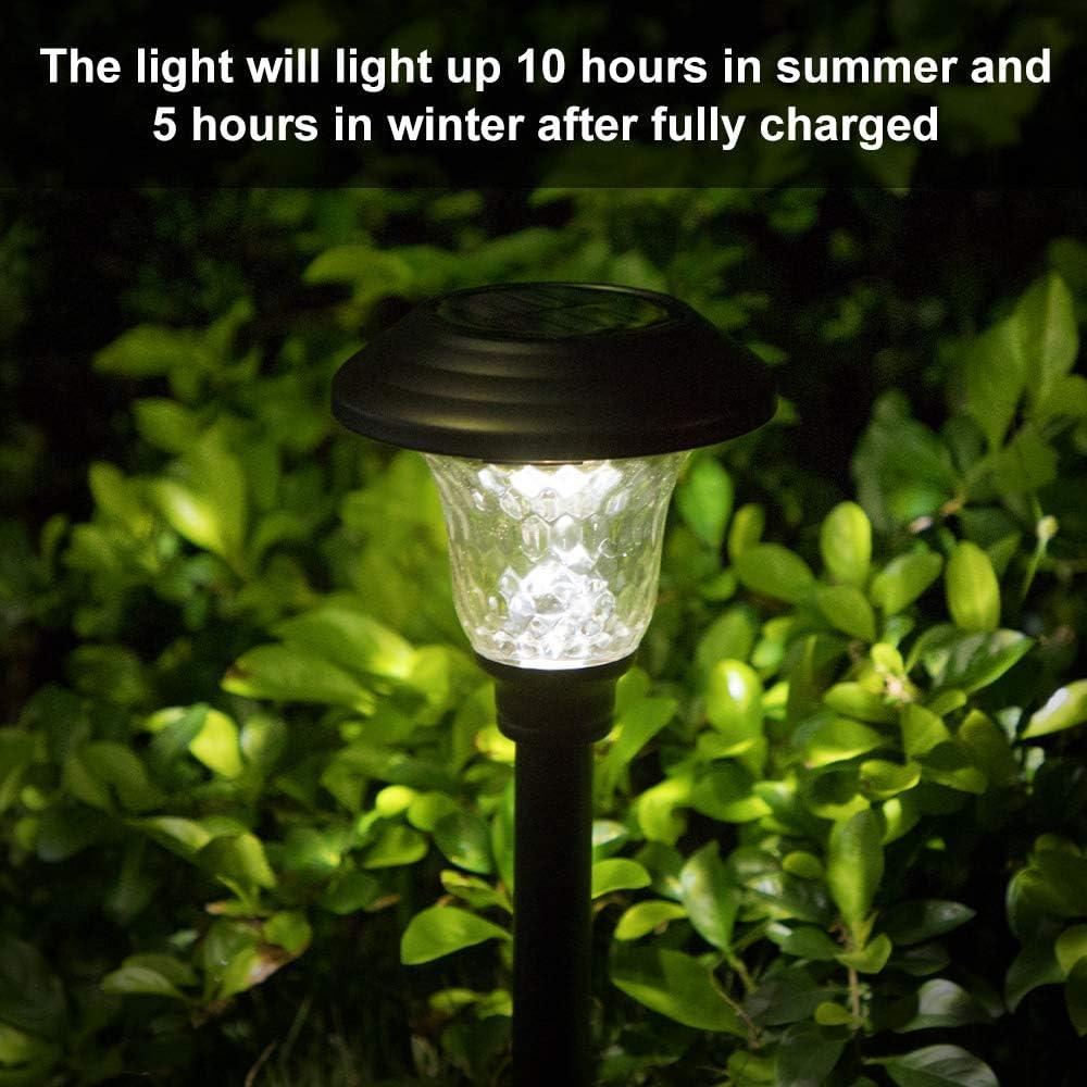 Beau Jardin 8 Pack Solar Pathway Lights with Glass LED