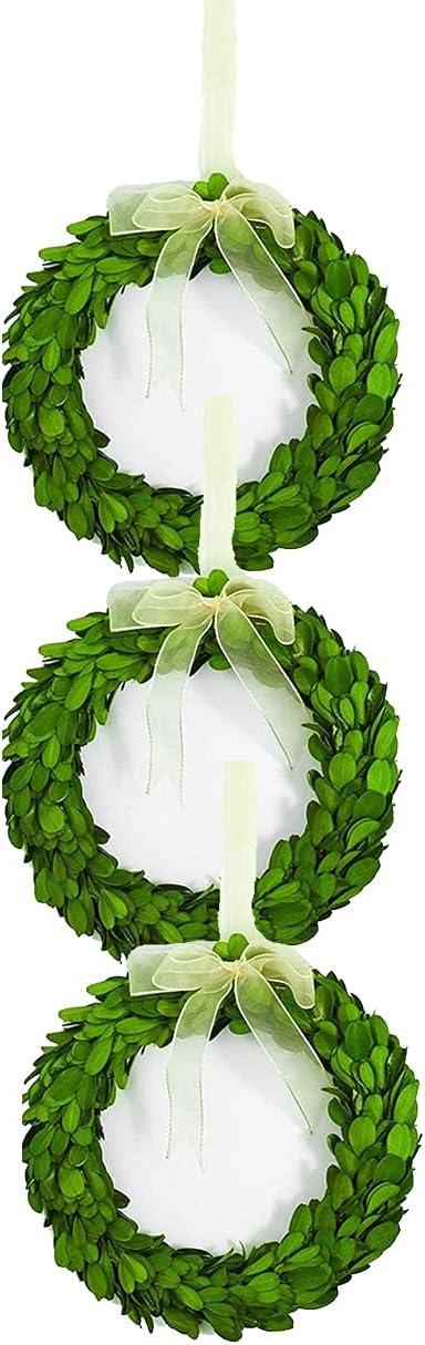 Mini 6-Inch Preserved Boxwood Wreaths with Mesh Ribbon