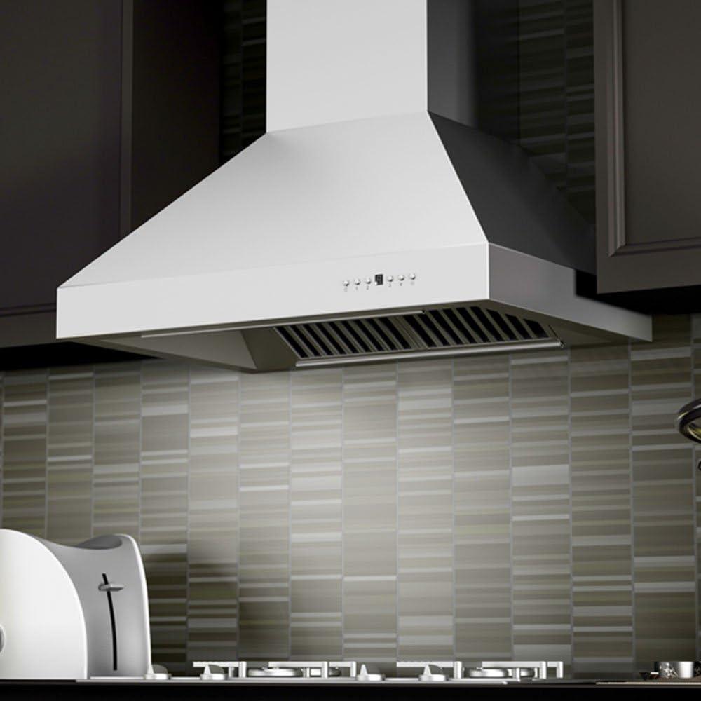 54" Professional 700 CFM Ducted Wall Mount Range Hood in Stainless Steel