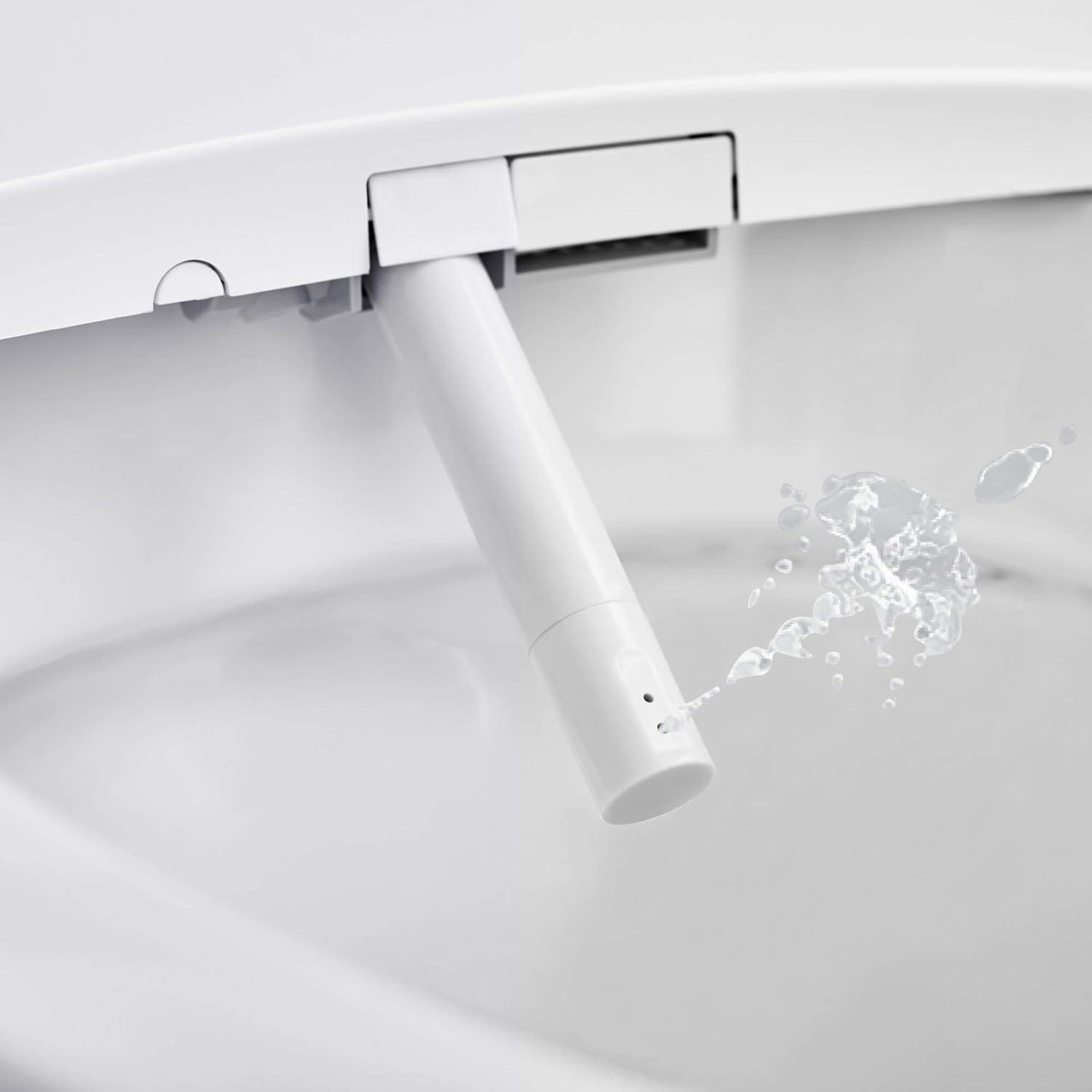 Dual-Flush Elongated Bidet Toilet (Seat Included)