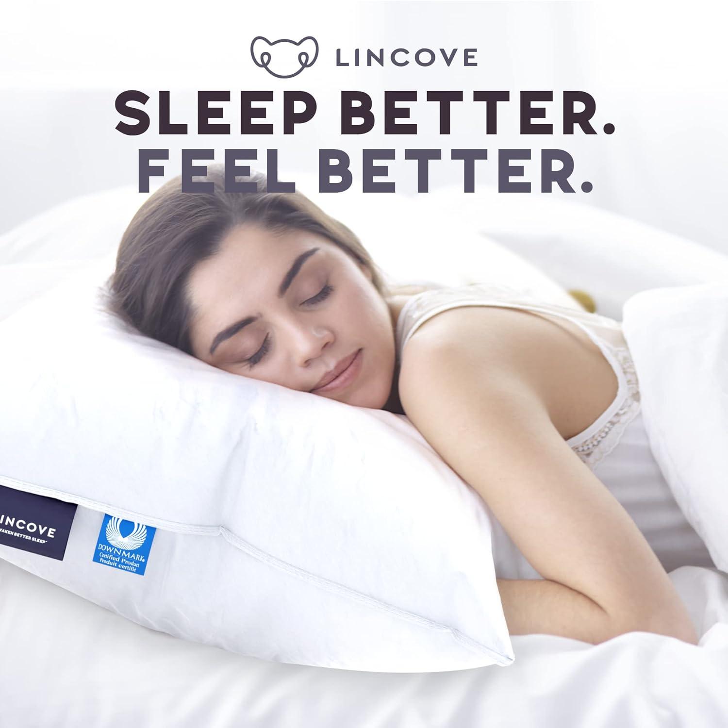 Lincove Signature 100% Canadian Down Luxury Sleeping Pillow - 800 Fill Power, 500 Thread Count Cotton Shell, Standard - Soft, 2 Pack