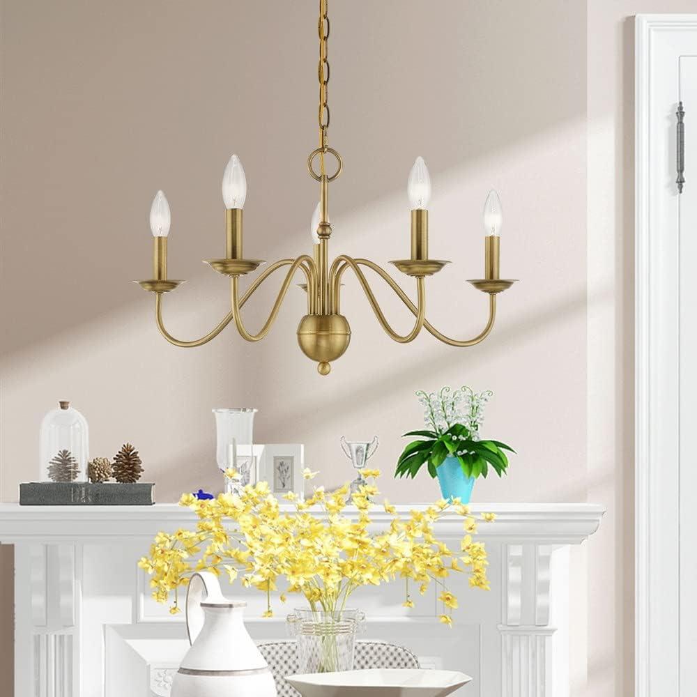 Livex Lighting Windsor 5 - Light Chandelier in  Polished Brass