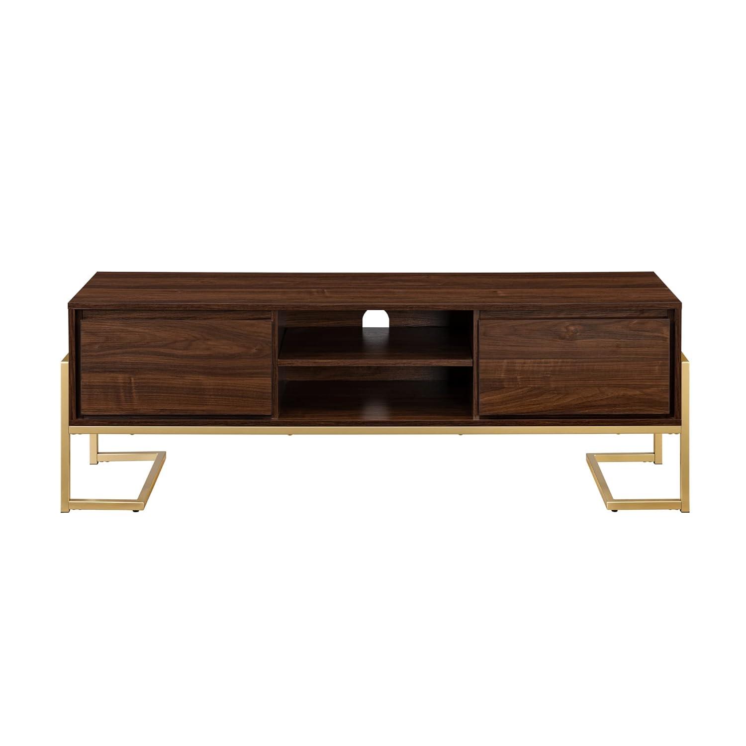 Pemberly Row 60" 2-Drawer Modern Wood Media Console - Dark Walnut