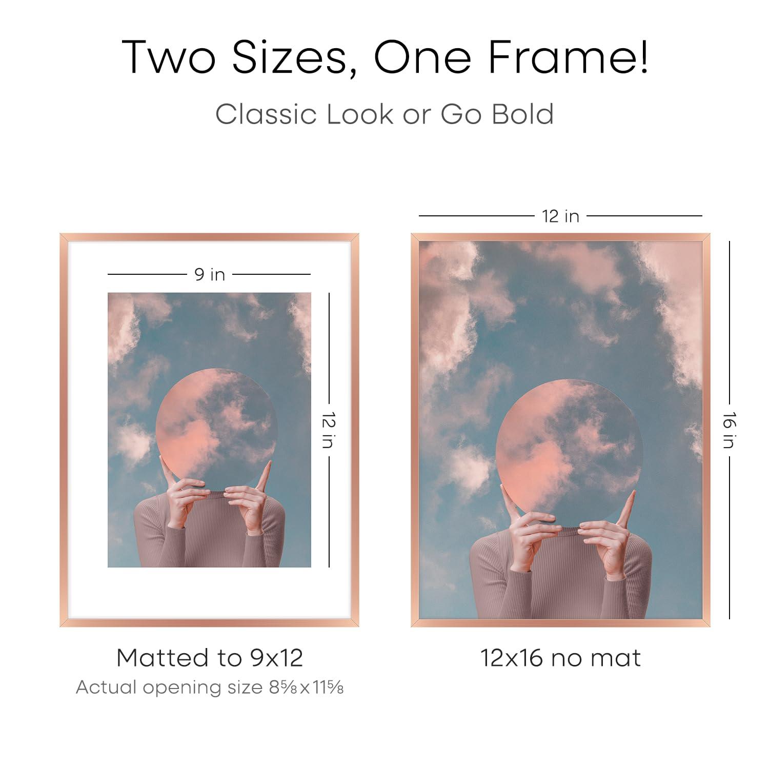 Homeforia 12x16 Rose Gold Picture Frame, High End Metal 12x16 Poster Frames with Mat 9x12 Photo, 12 x 16 Rose Gold Frames Matted to 9 by 12 Print, 16x12 Thin Frames, Tempered Glass, Wall Kit, Set of 1