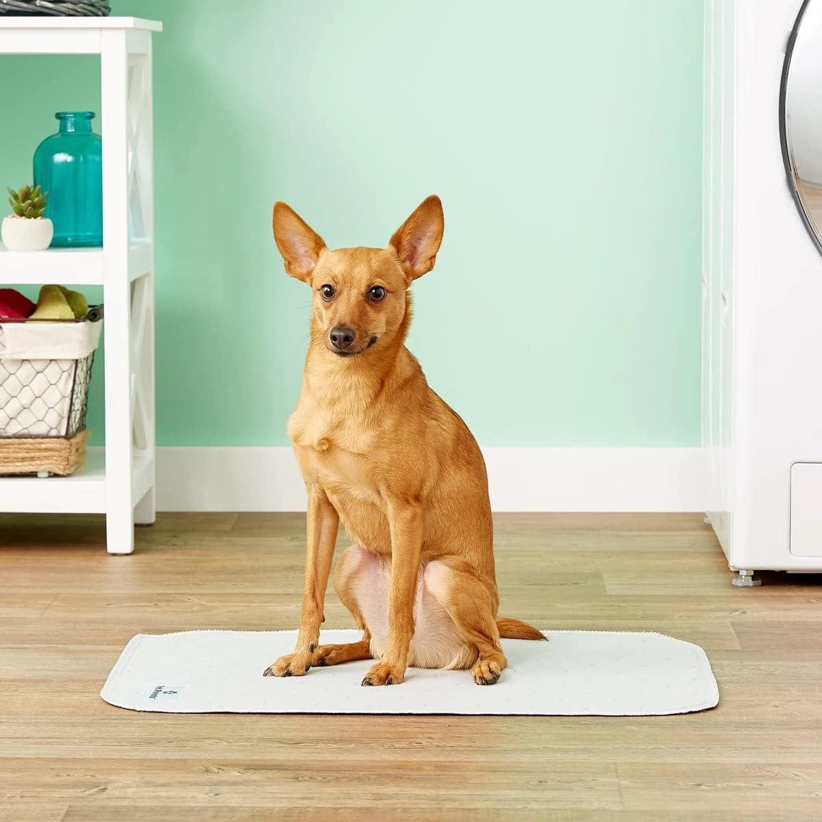 Pet Parents® Pet Parents® Pawtect® Pads Premium Washable Pee Pads, 2ct Classic