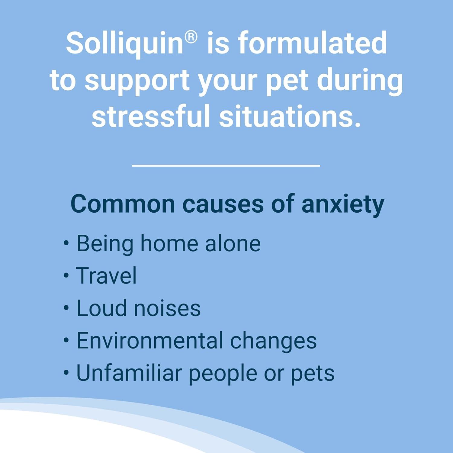 Solliquin Soft Chews Calming for Small & Medium Dogs & Cats 75ct