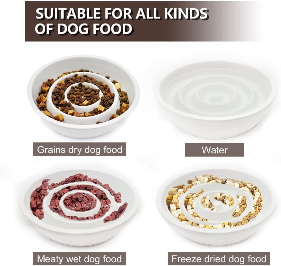 GH Ceramic Slow Feeder Dog Bowl, 3 Cups, 2 Pet Flying Discs Included - White