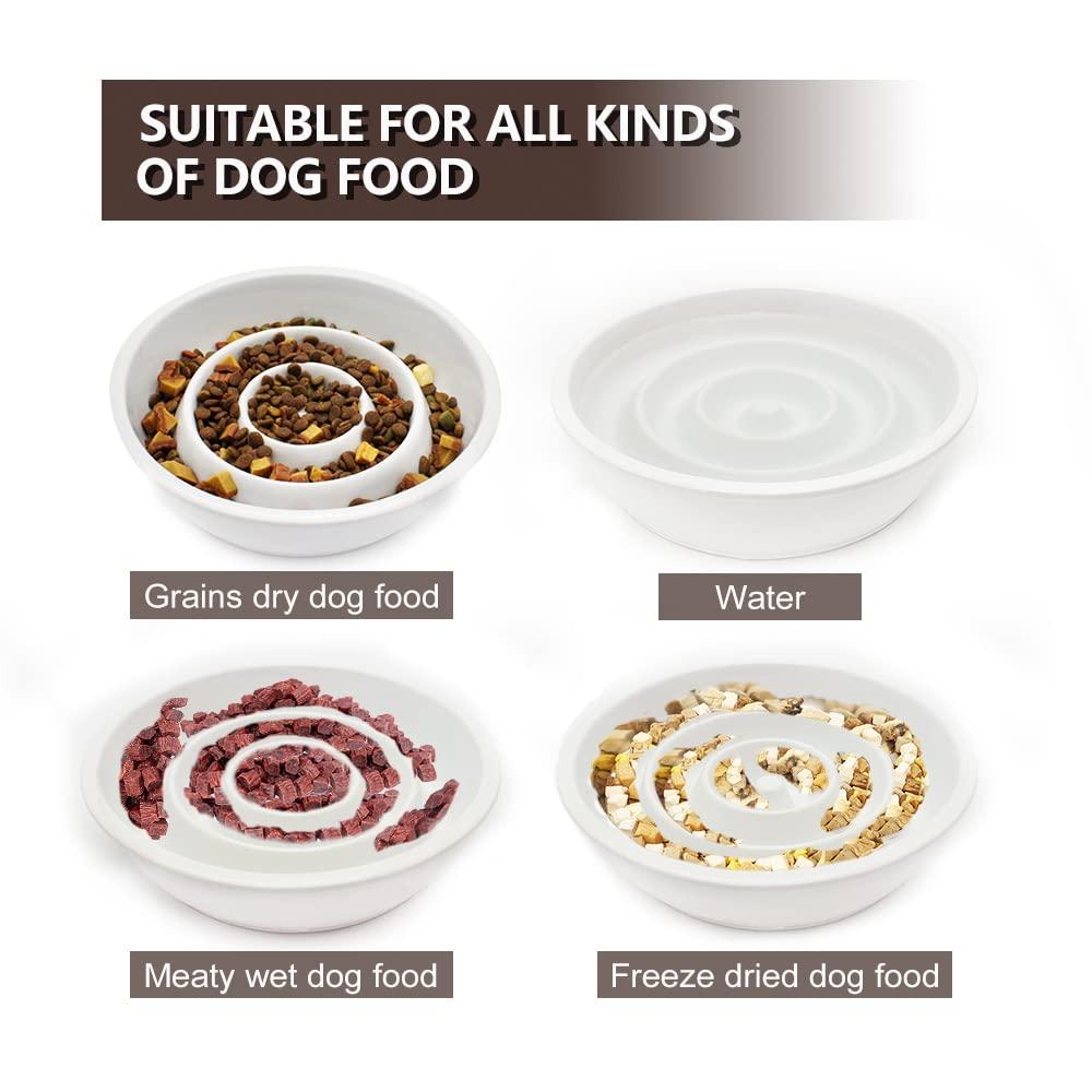 GH Ceramic Slow Feeder Dog Bowl, 3 Cups, 2 Pet Flying Discs Included - White