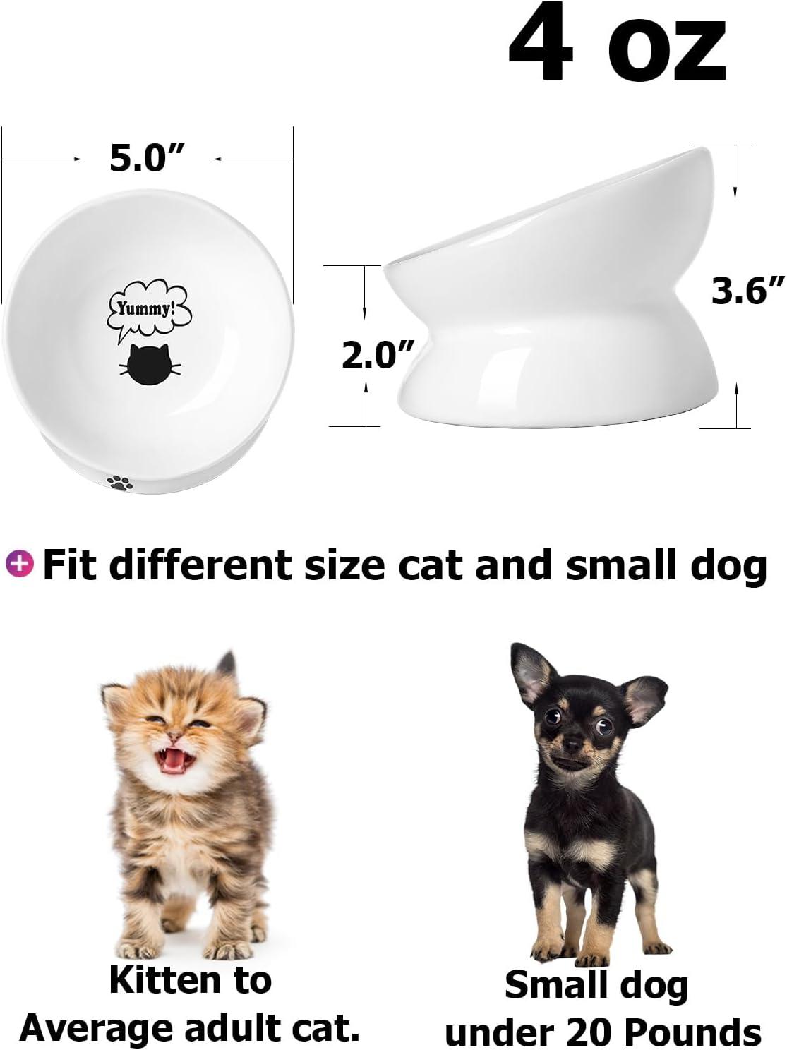 Cat Bowl Anti Vomiting,Raised Cat Food Bowls, Tilted Elevated Cat Bowl, Ceramic Pet Food Bowl for Flat Faced Cats, Small Dogs