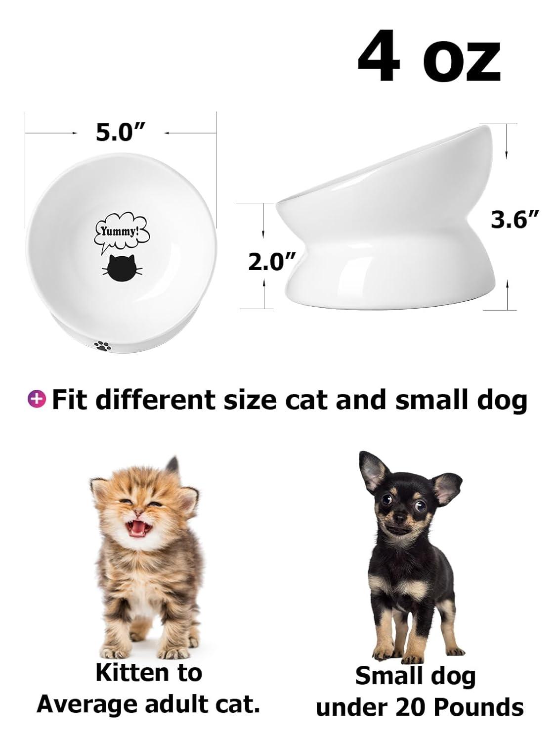 Cat Bowl Anti Vomiting,Raised Cat Food Bowls, Tilted Elevated Cat Bowl, Ceramic Pet Food Bowl for Flat Faced Cats, Small Dogs