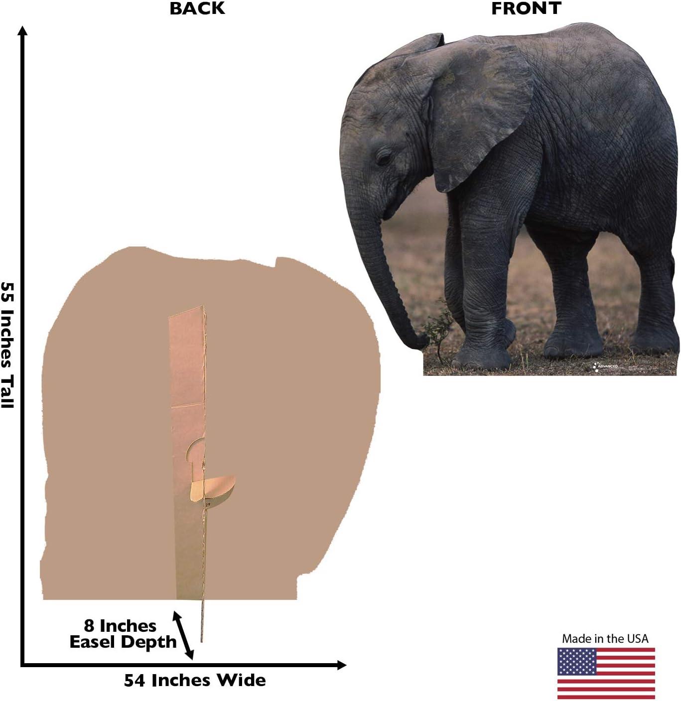 Advanced Graphics Animals 55'' Animals Cardboard Standup