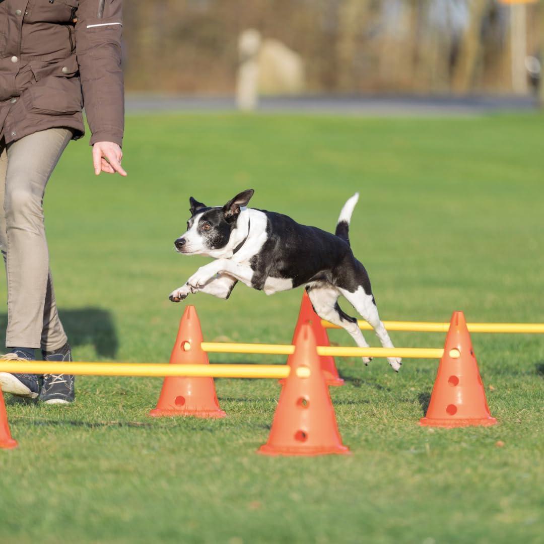 TRIXIE Dog Agility Hurdle Cone Set, Portable Canine Agility Training Set, 6 Exercise Cones with 3 Agility Rods