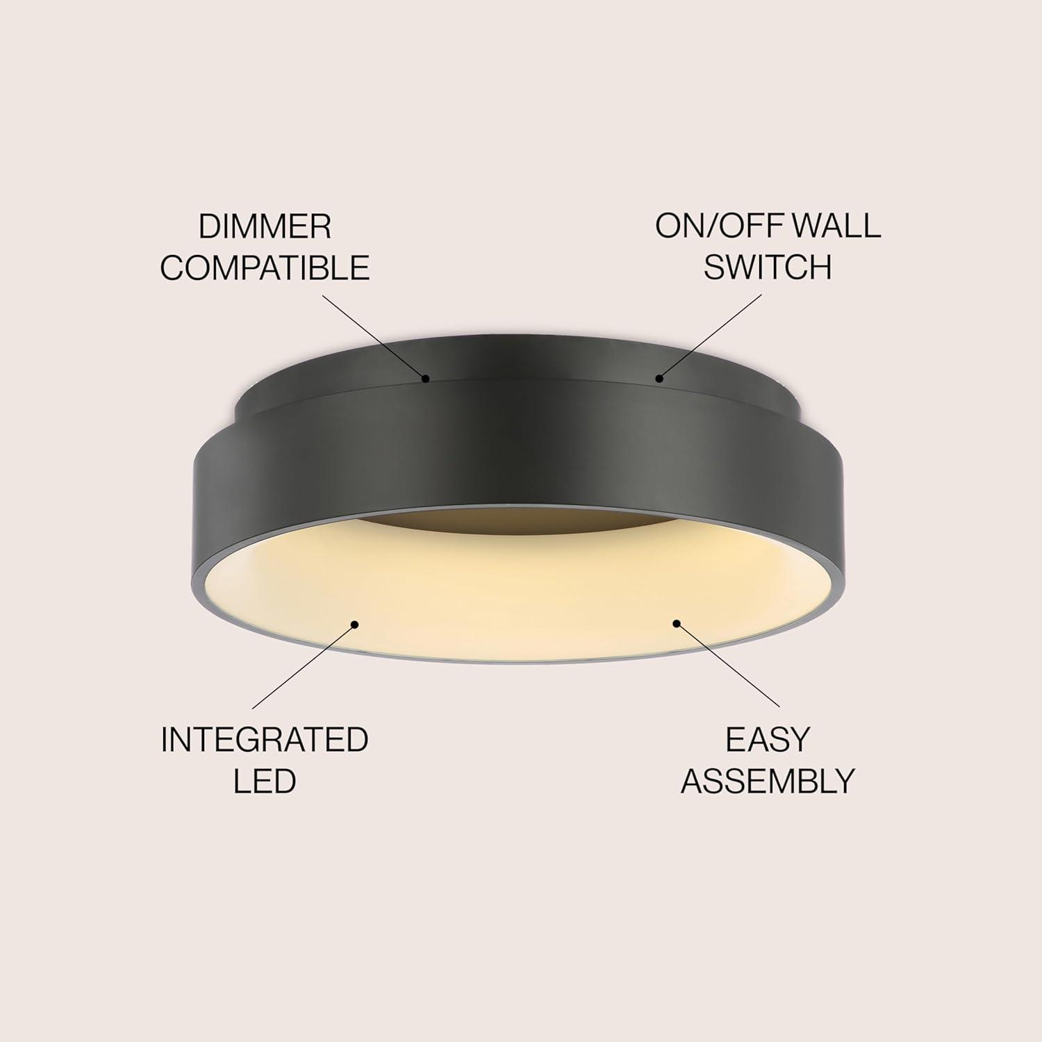 Ring 17.7" Integrated LED Metal Flush Mount Ceiling Light, Black