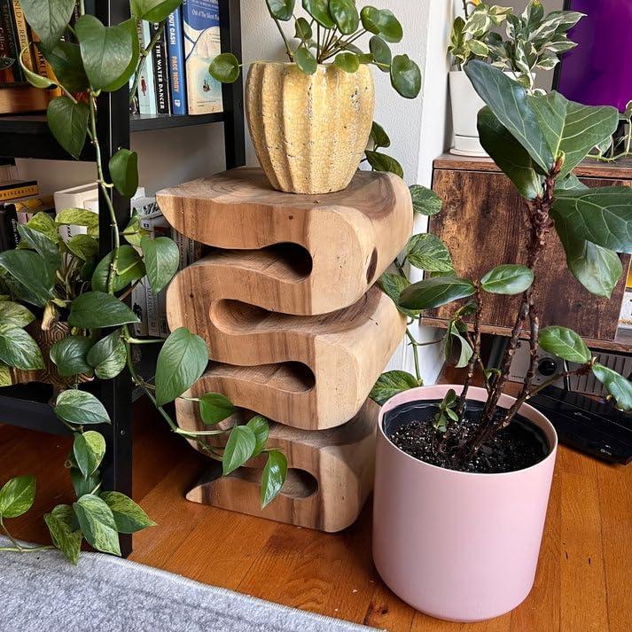 Rutledge & King Suar Wood Hand Carved End Table - Aspen