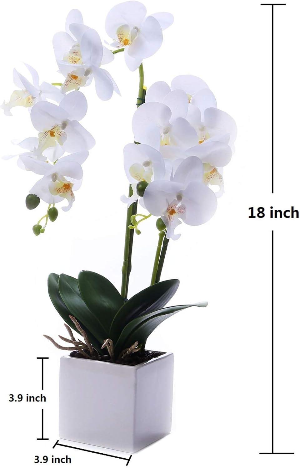 White Silk Orchid Bonsai in Ceramic Pot