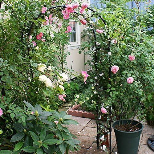 Zhisheng Garden Arbors,7.9Ft Metal Garden Arbors Green Wedding Arch for Climbing Plant Outdoor Wedding Christmas Party Decoration,240CM